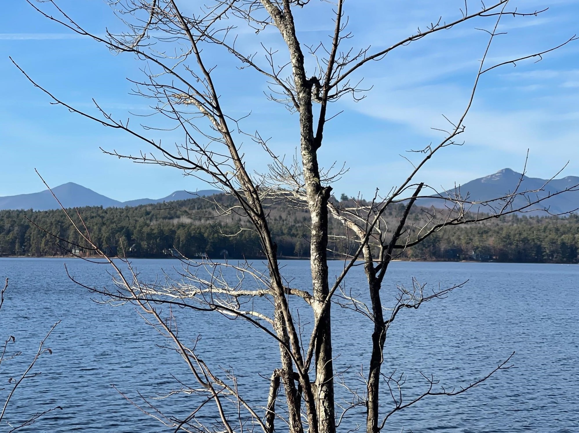 1071 E Shore Dr, Madison, NH 03875