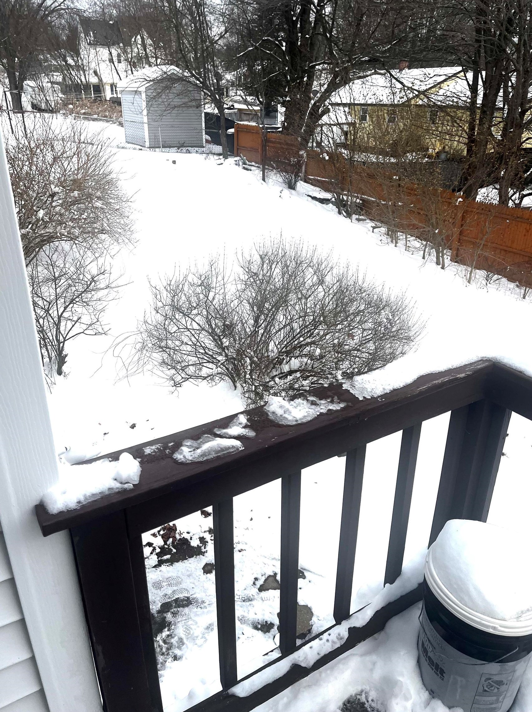 359 Mammoth Rd, Manchester NH  03109-4911 exterior