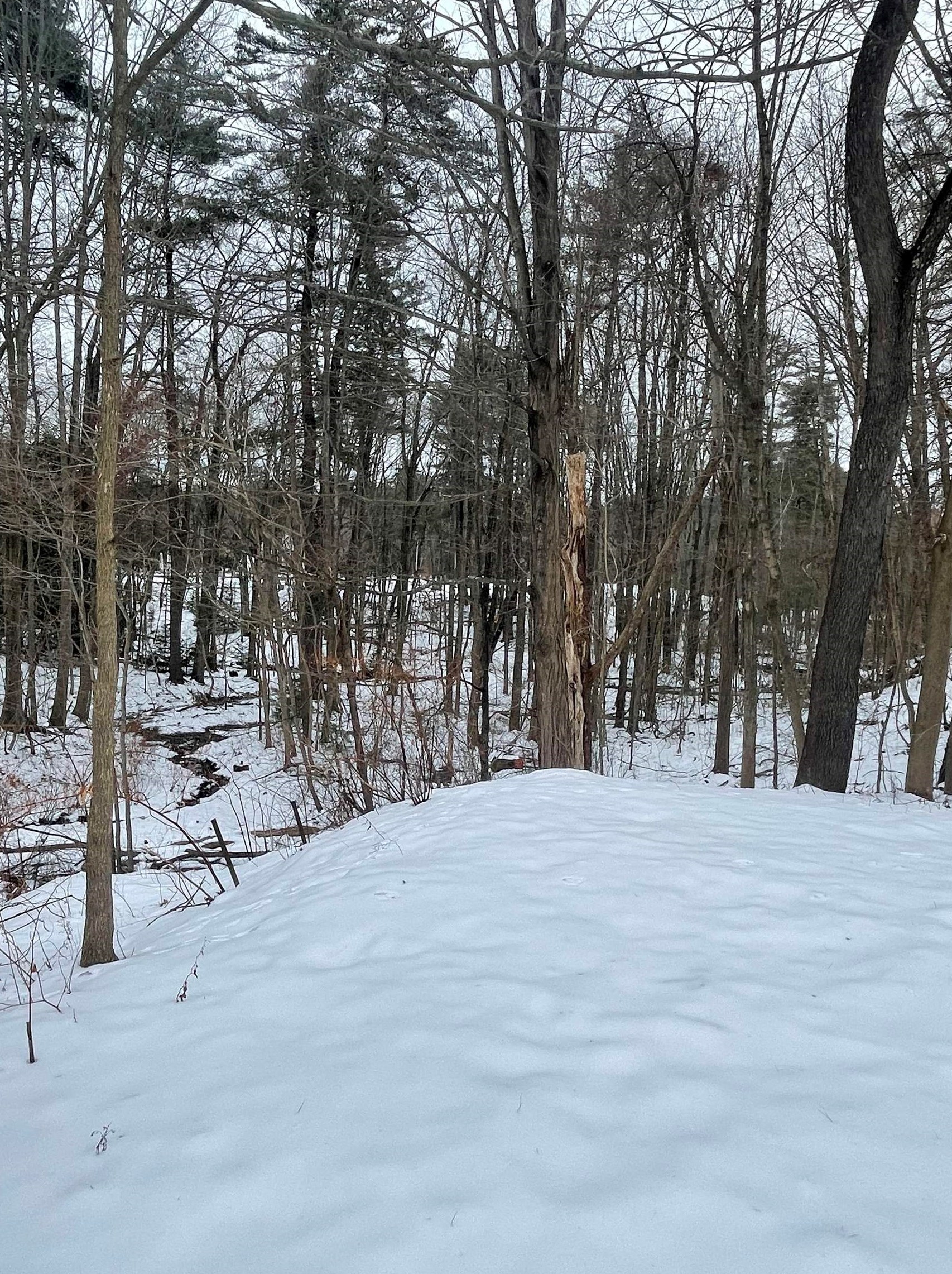 33 Linden St, Rochester NH  03867-3116 exterior