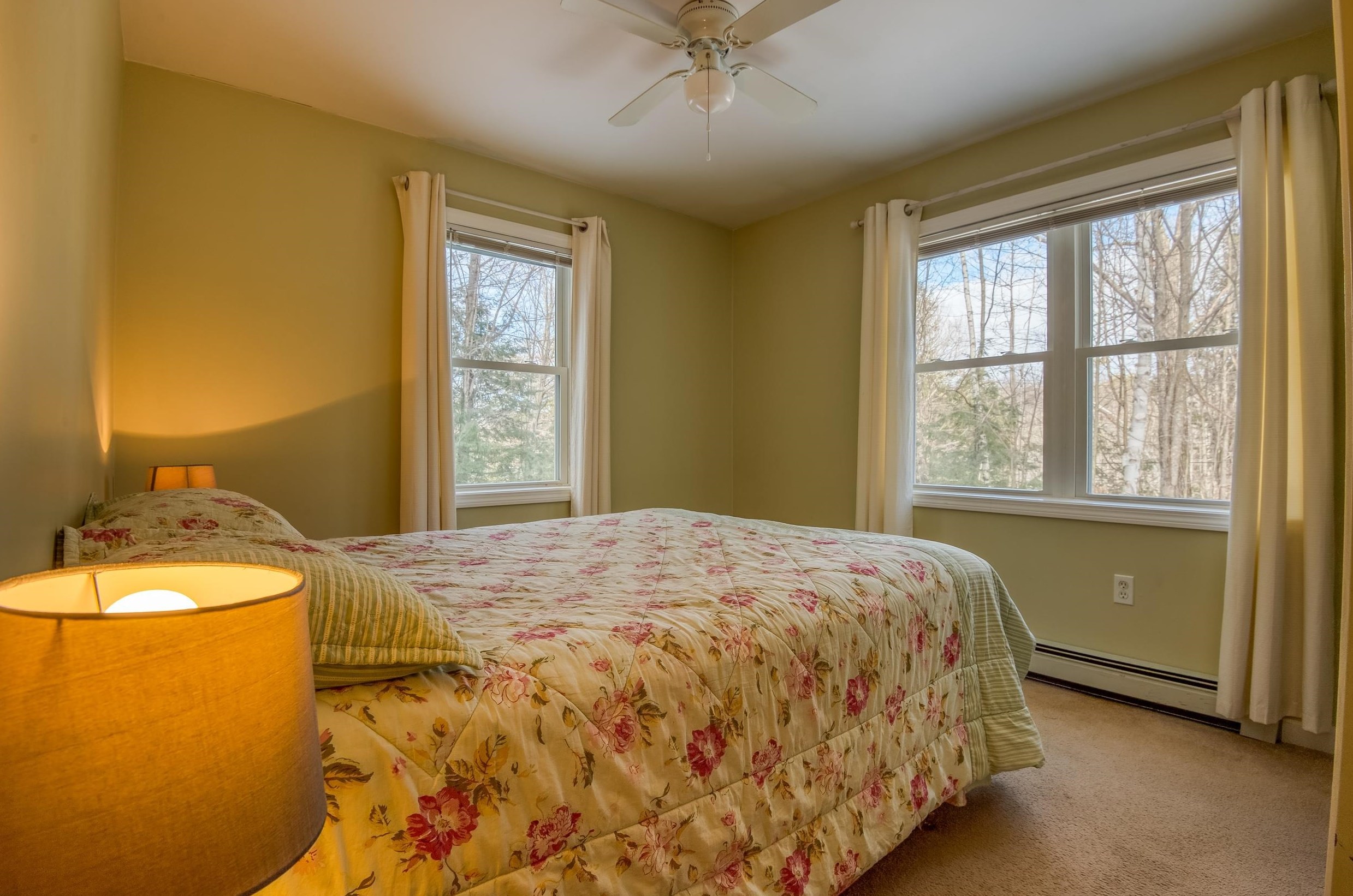 153 Brenner Dr, Albany NH  03818-6910 exterior