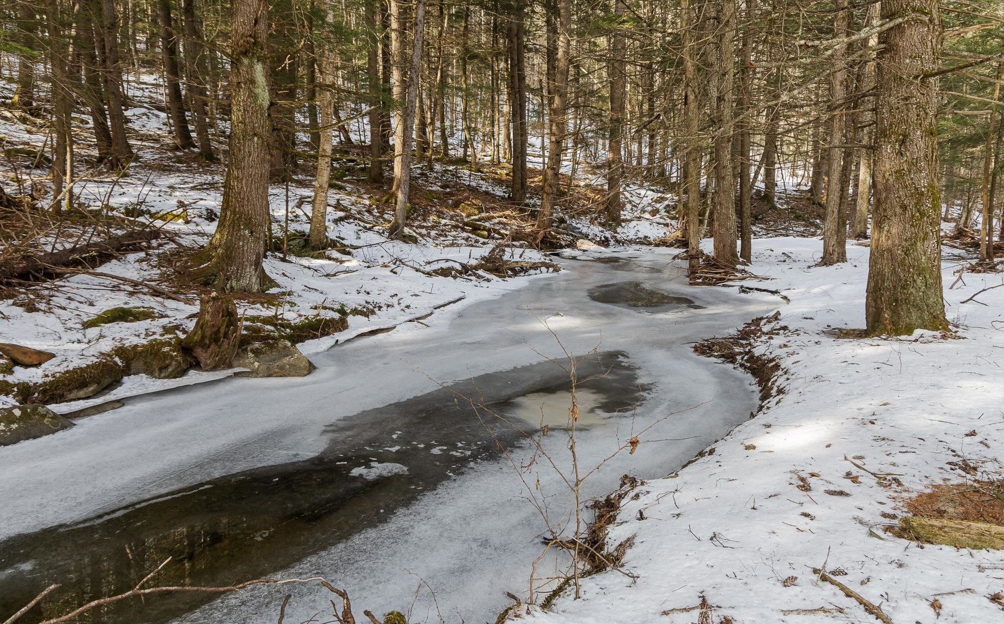 94 Thayer Brook Rd, Alstead, NH 03602 exterior