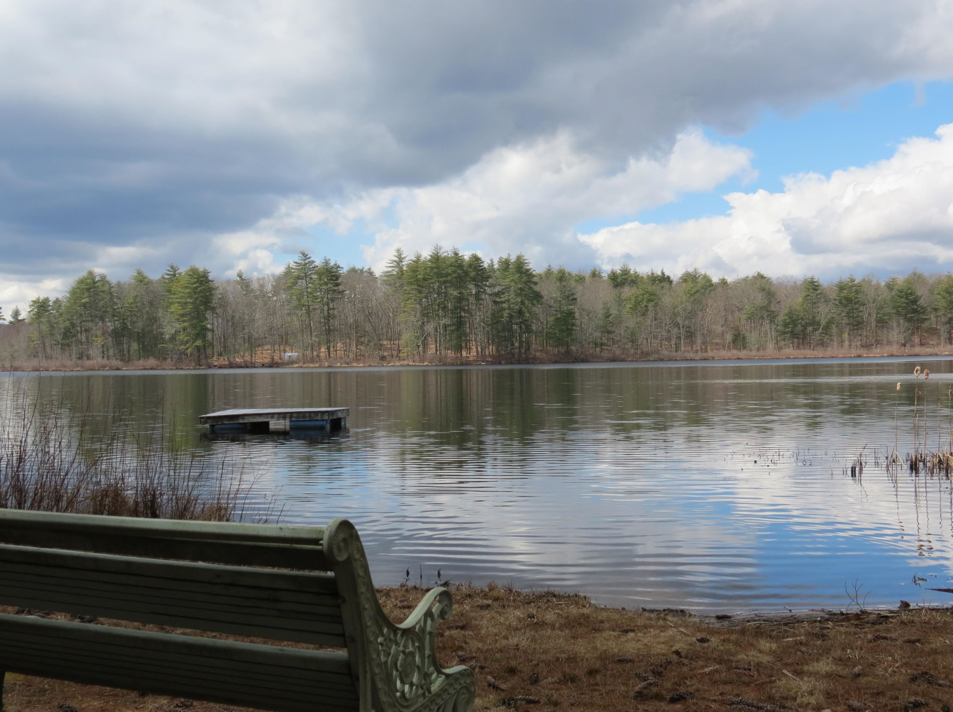 16 Showell Pond Rd, Sandown, NH 03873