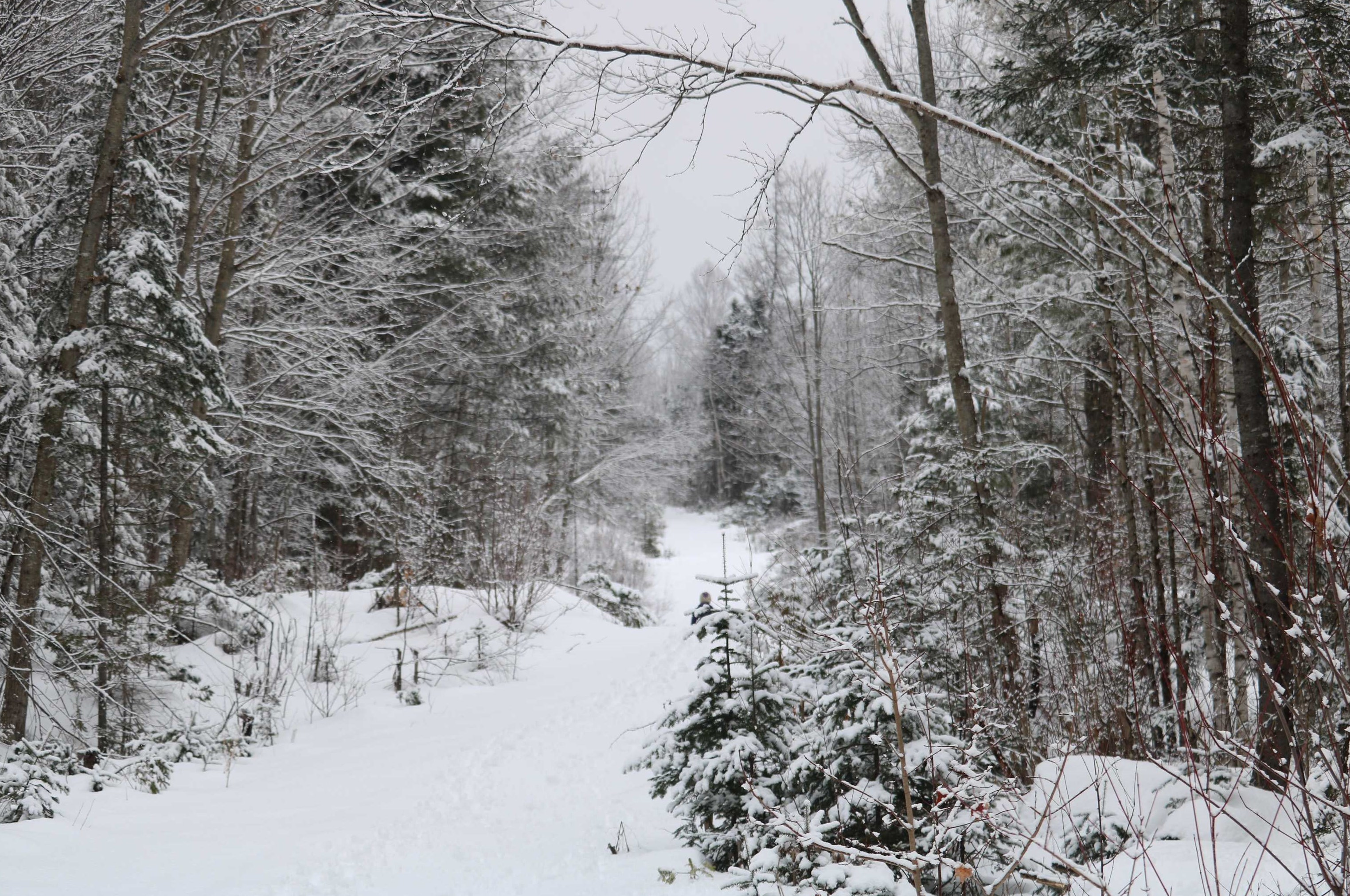 26 Railroad St, Dummer, NH 03588-3250