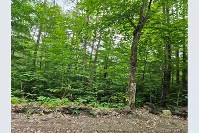 Lot 90 Faraway Road, Dalton, NH 03598 - Photo 8