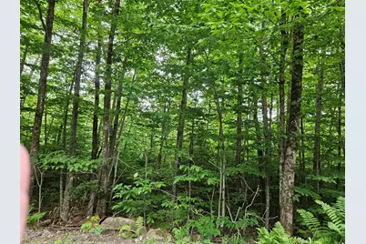 Lot 90 Faraway Road, Dalton, NH 03598 - Photo 14