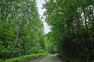 Lot 90 Faraway Rd, Dalton, NH 03598 - Photo 1