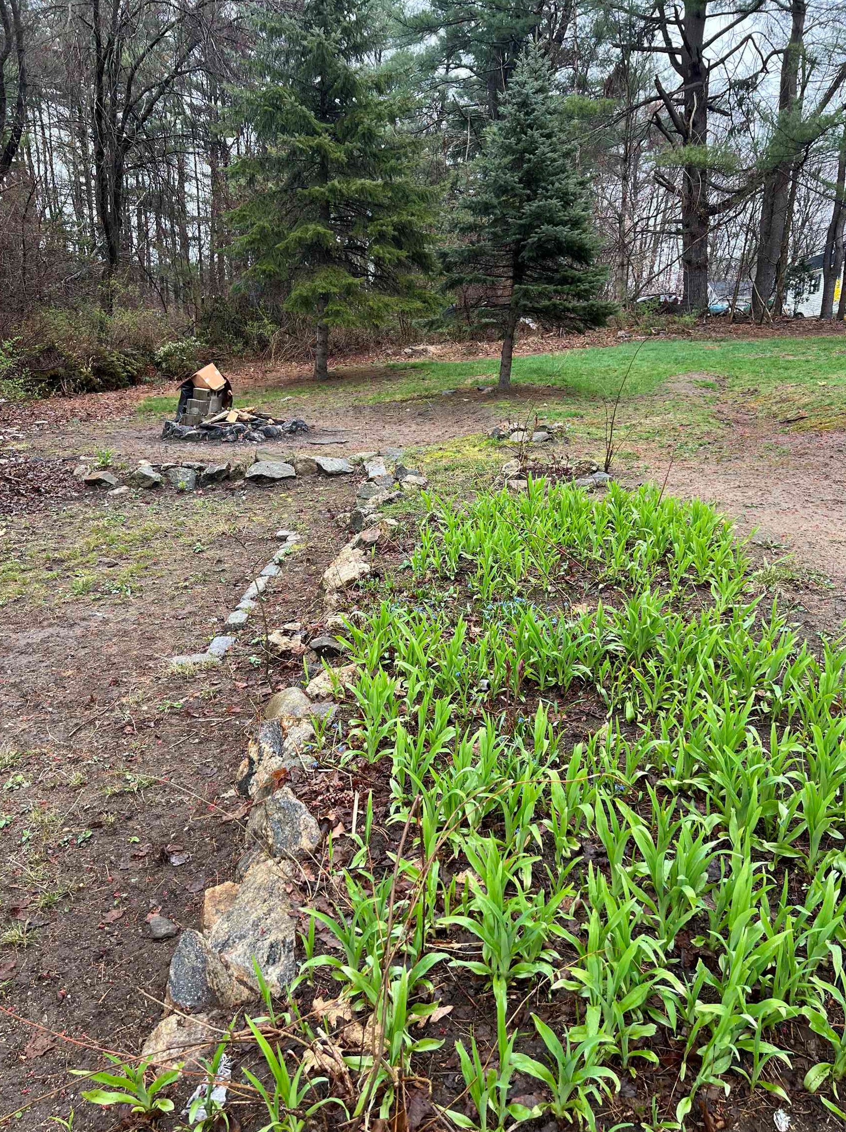 18 Whitehall Rd, Manchester NH  03106-1923 exterior