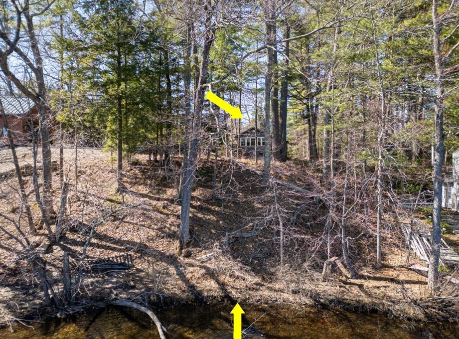 251 Breezy Hill Rd, Bradford NH  03221-3504 exterior