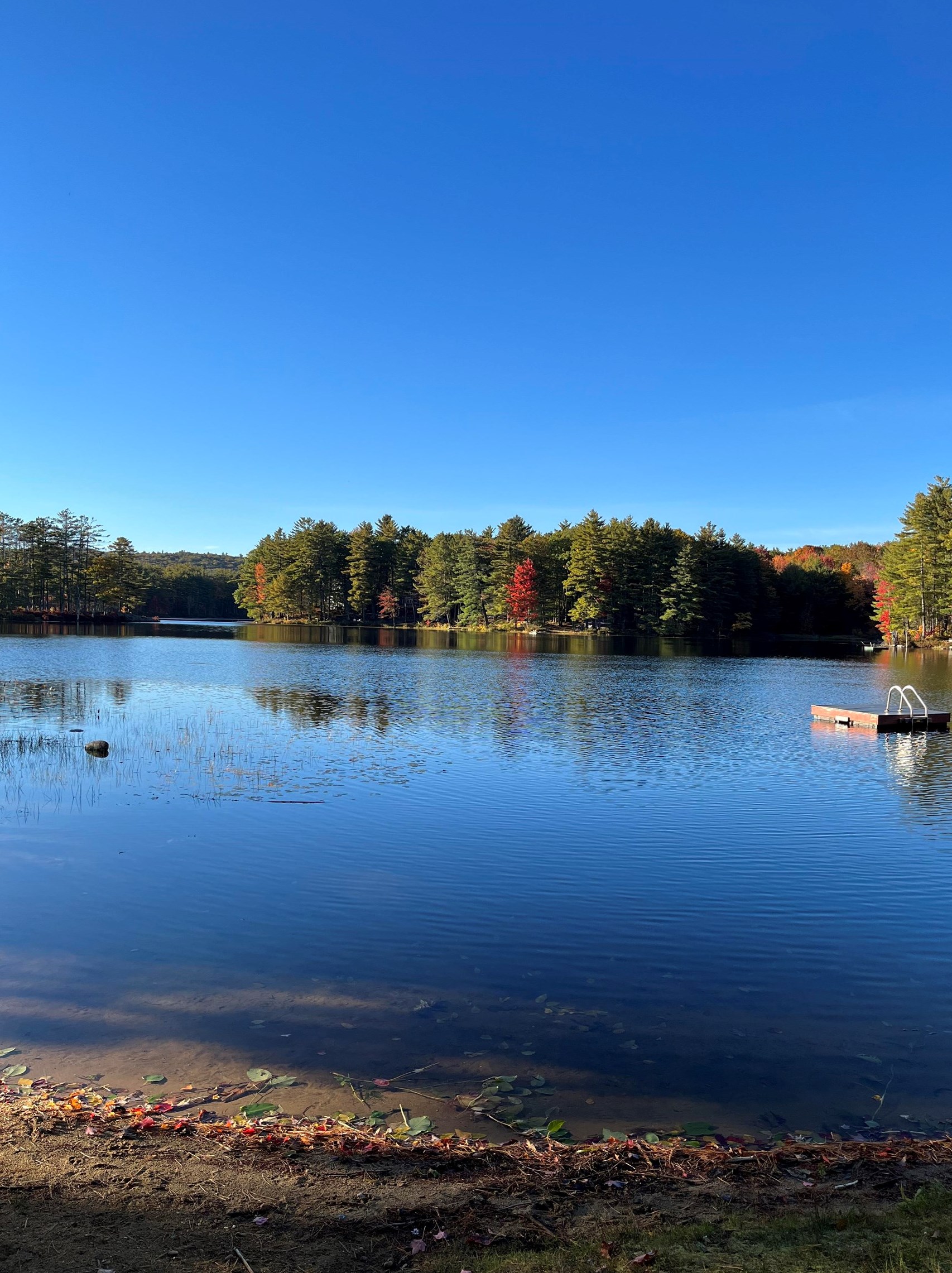 21 Canterbury Shore Dr, Canterbury NH  03224-2707 exterior