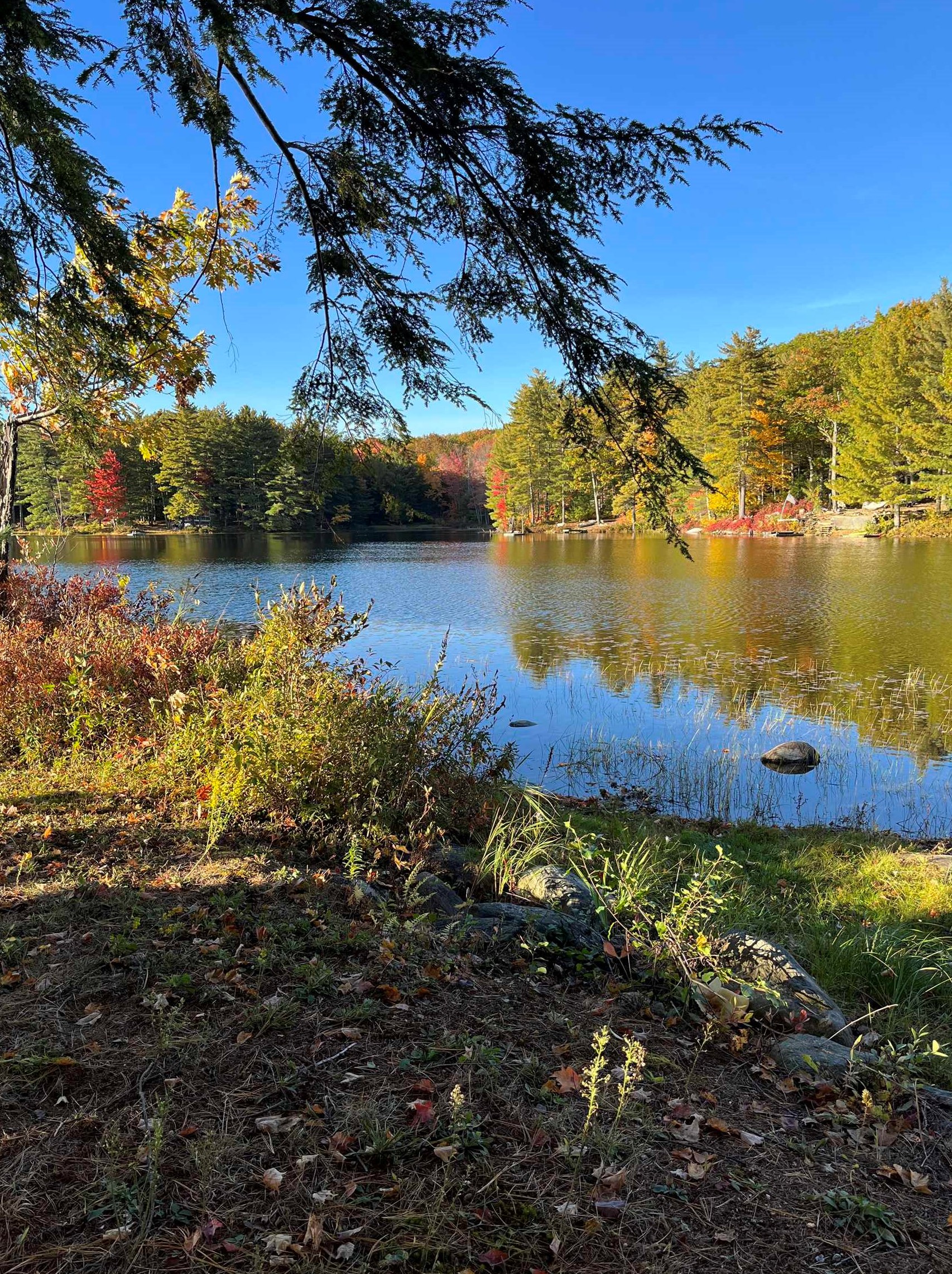 21 Canterbury Shore Dr, Canterbury NH  03224-2707 exterior