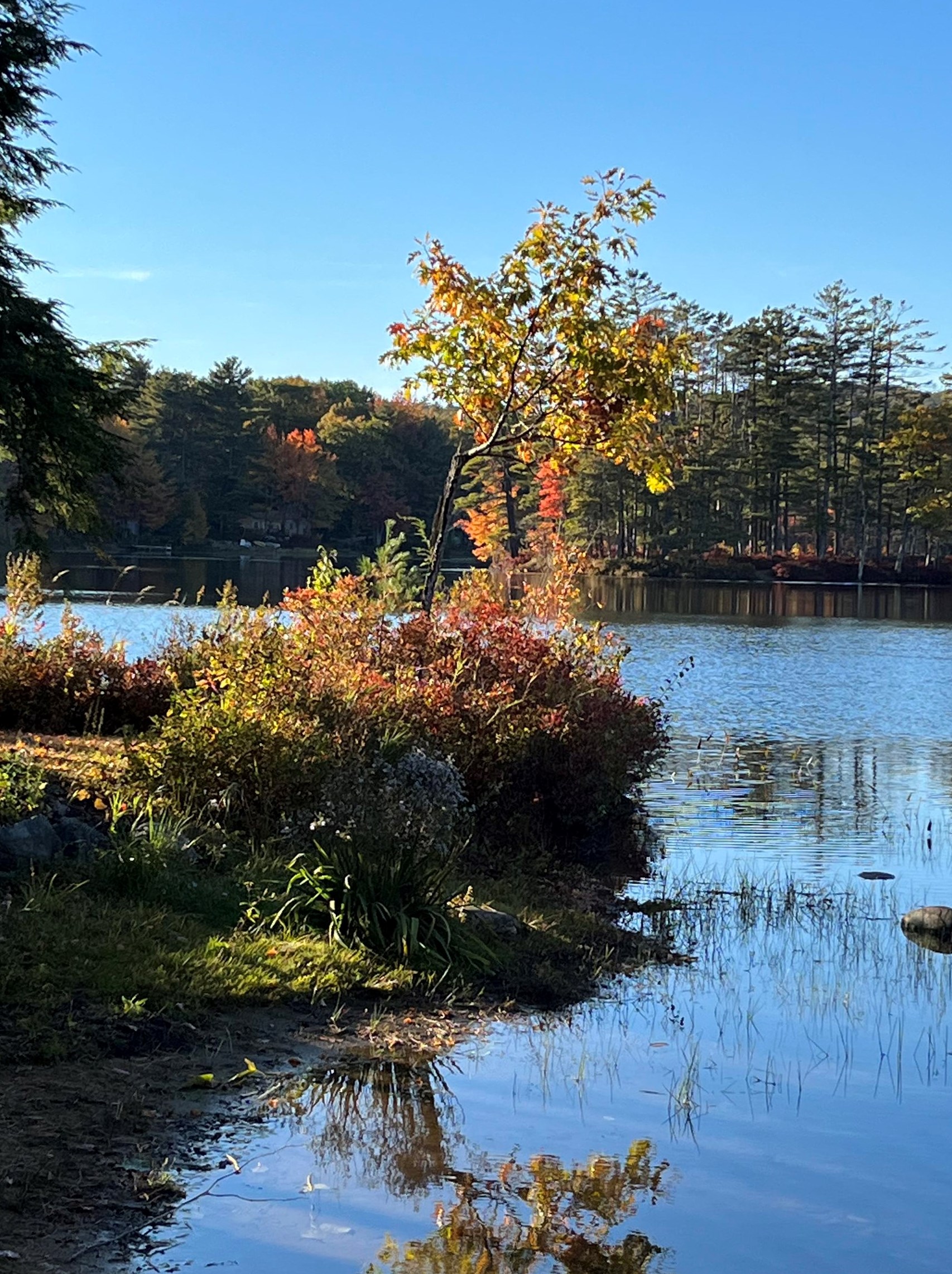 21 Canterbury Shore Dr, Canterbury NH  03224-2707 exterior
