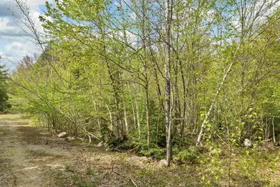 Lot 42,43,44,49 G Street, Conway, NH 03818 - Photo 4