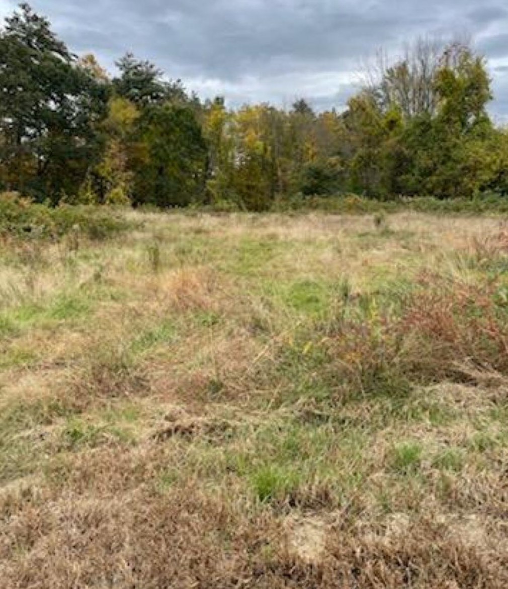 1240 Franklin Pierce Hwy, Barrington NH 03825-7331 exterior