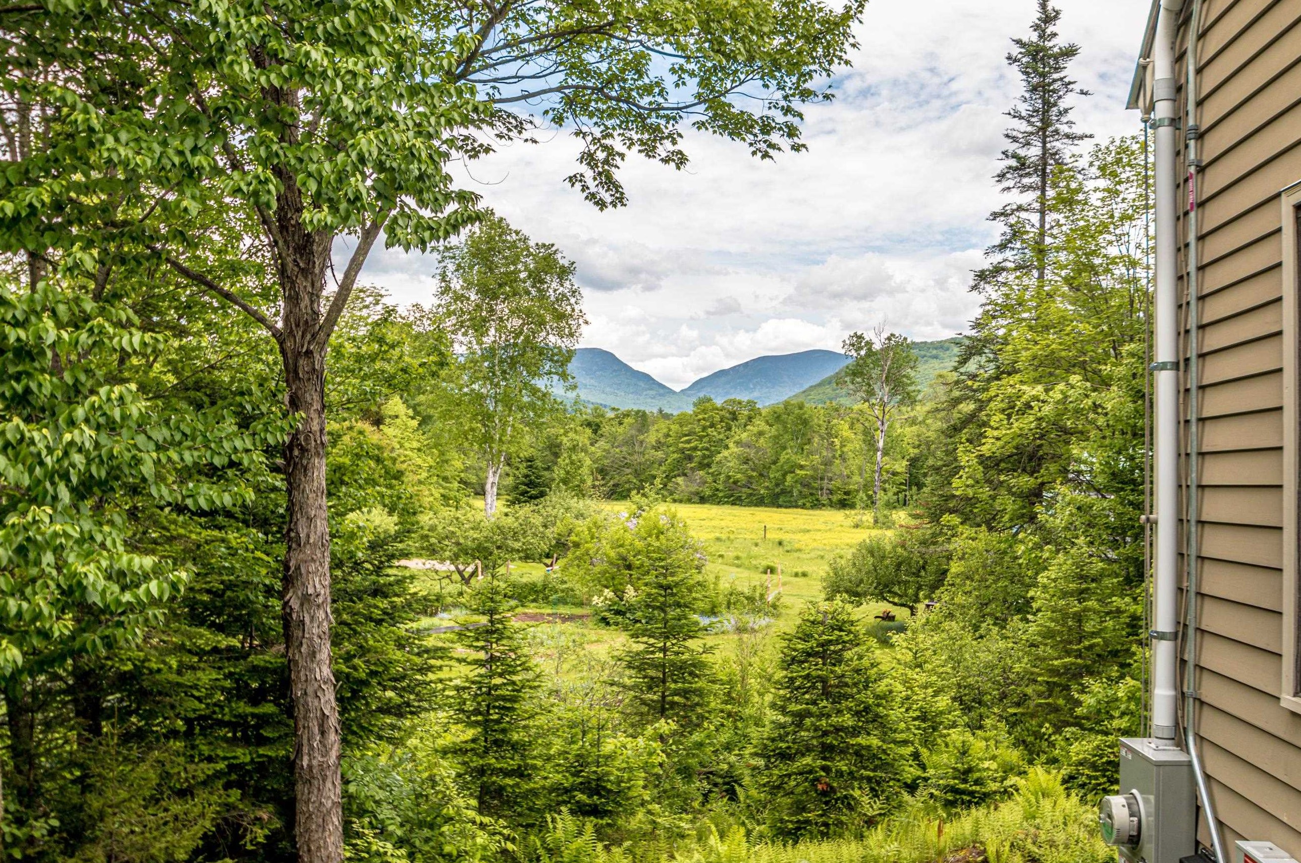 348 Carter Notch Rd, Jackson, NH 03846-4225