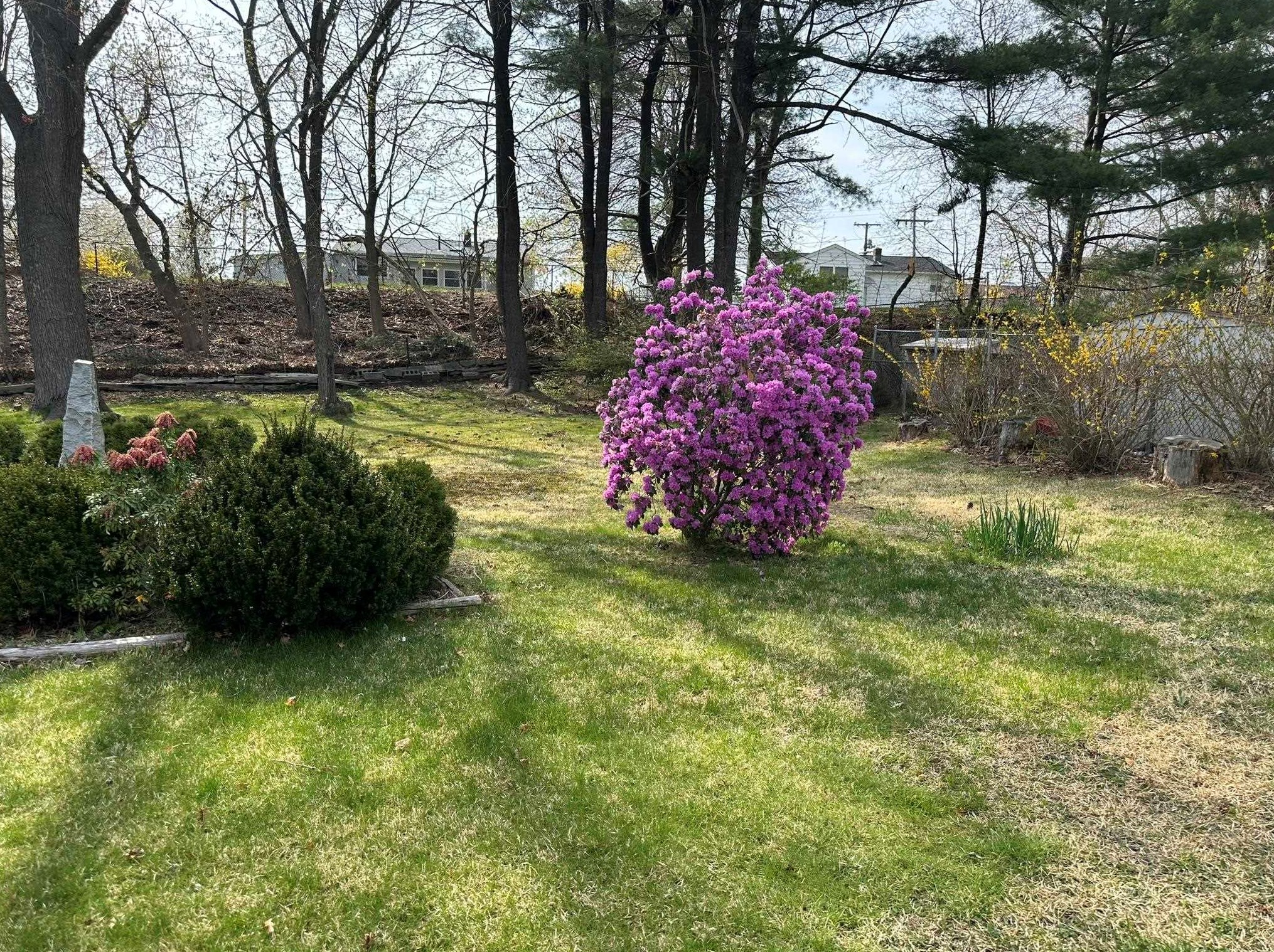 99 Lois St, Manchester NH 03103-3078 exterior