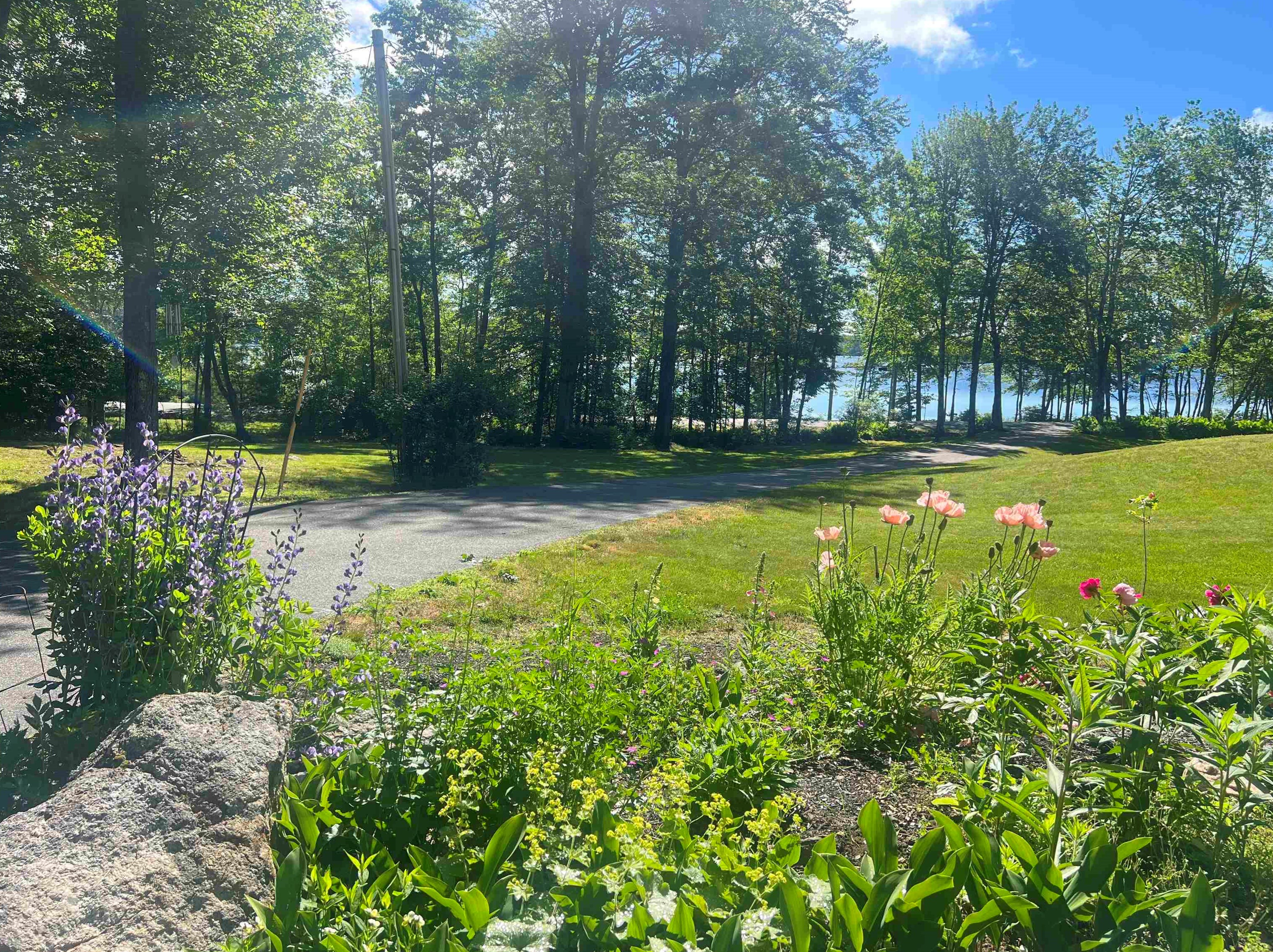 109 Jenness Pond Rd, Pittsfield NH  03263-3502 exterior