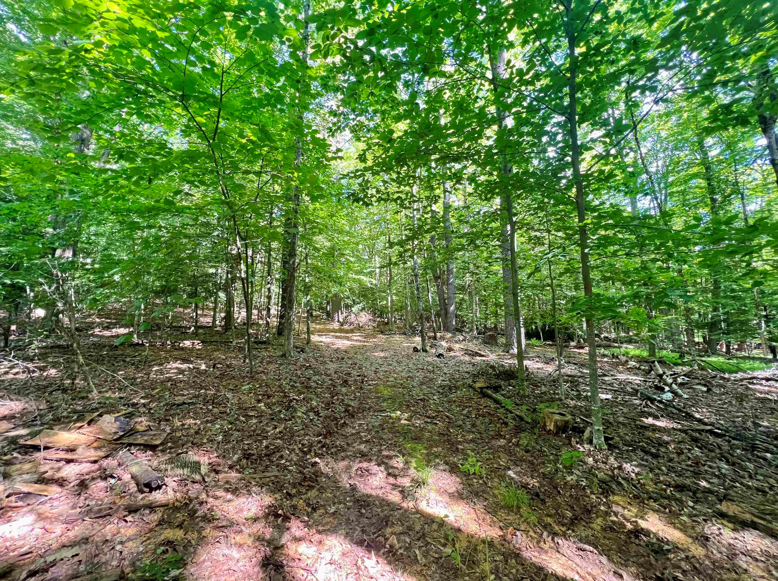 109 Jenness Pond Rd, Pittsfield NH 03263-3501 exterior