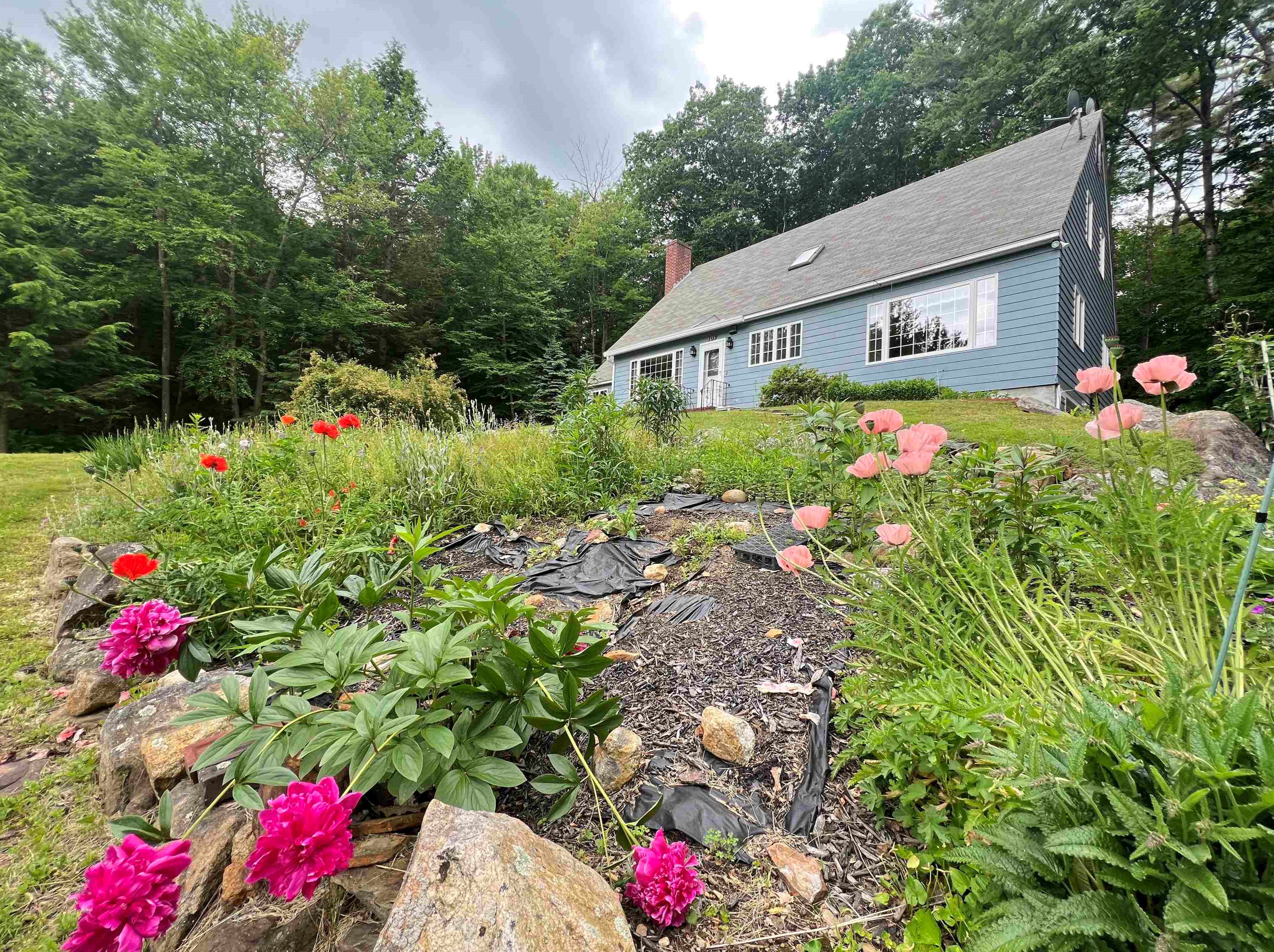 109 Jenness Pond Rd, Pittsfield NH 03263-3501 exterior