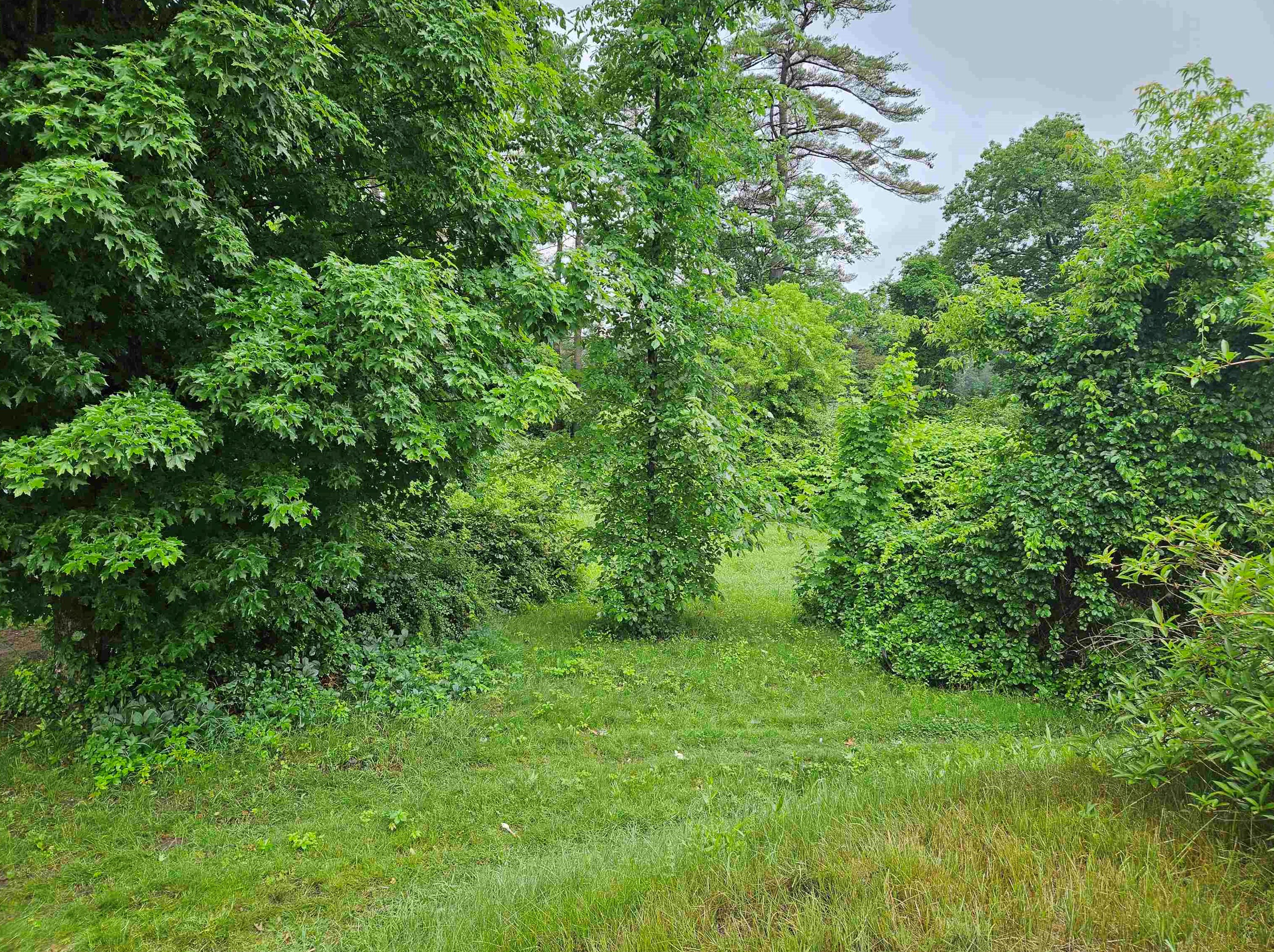 65 Lake St, Bridgewater, NH 03222