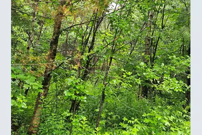 Lot 15 Hadley Road, Sugar Hill, NH 03586 - Photo 14