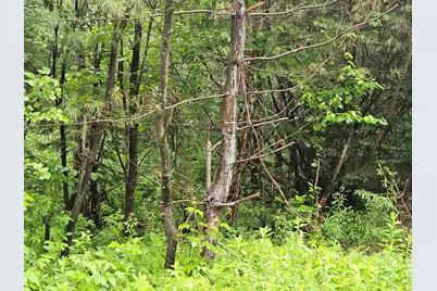Lot 15 Hadley Road, Sugar Hill, NH 03586 - Photo 18