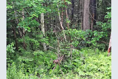 Lot 15 Hadley Road, Sugar Hill, NH 03586 - Photo 12