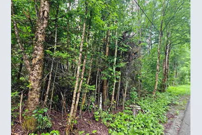 Lot 15 Hadley Road, Sugar Hill, NH 03586 - Photo 10