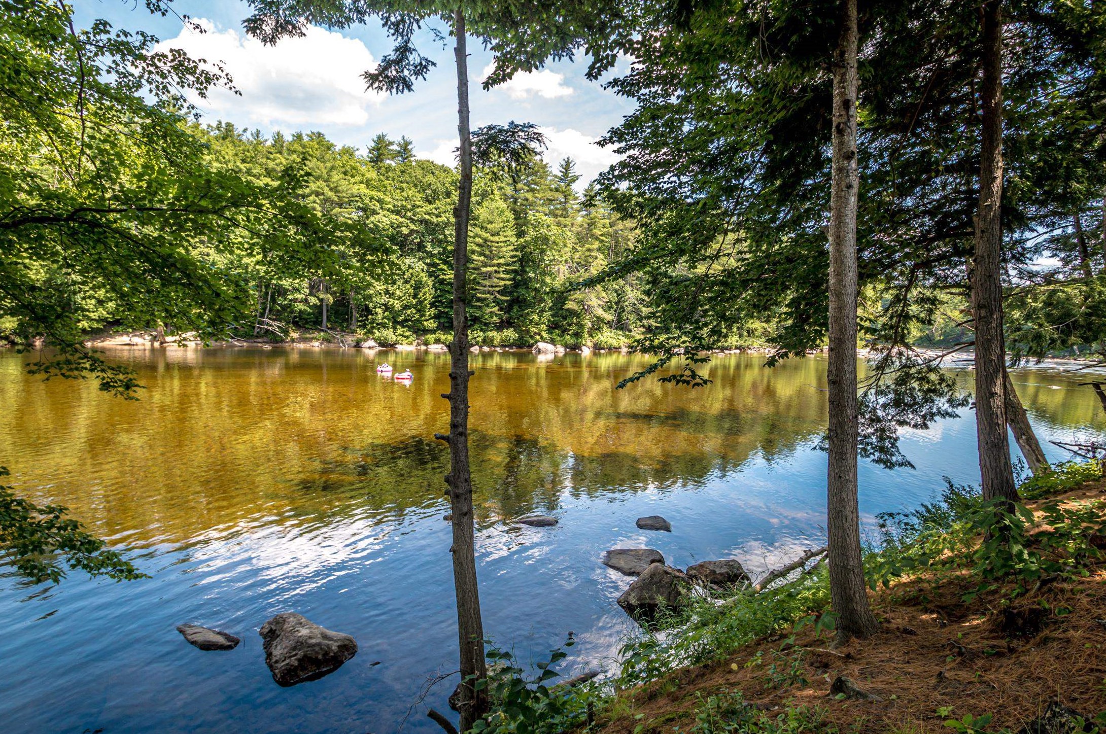 115 River St ##11, Conway, NH 03818