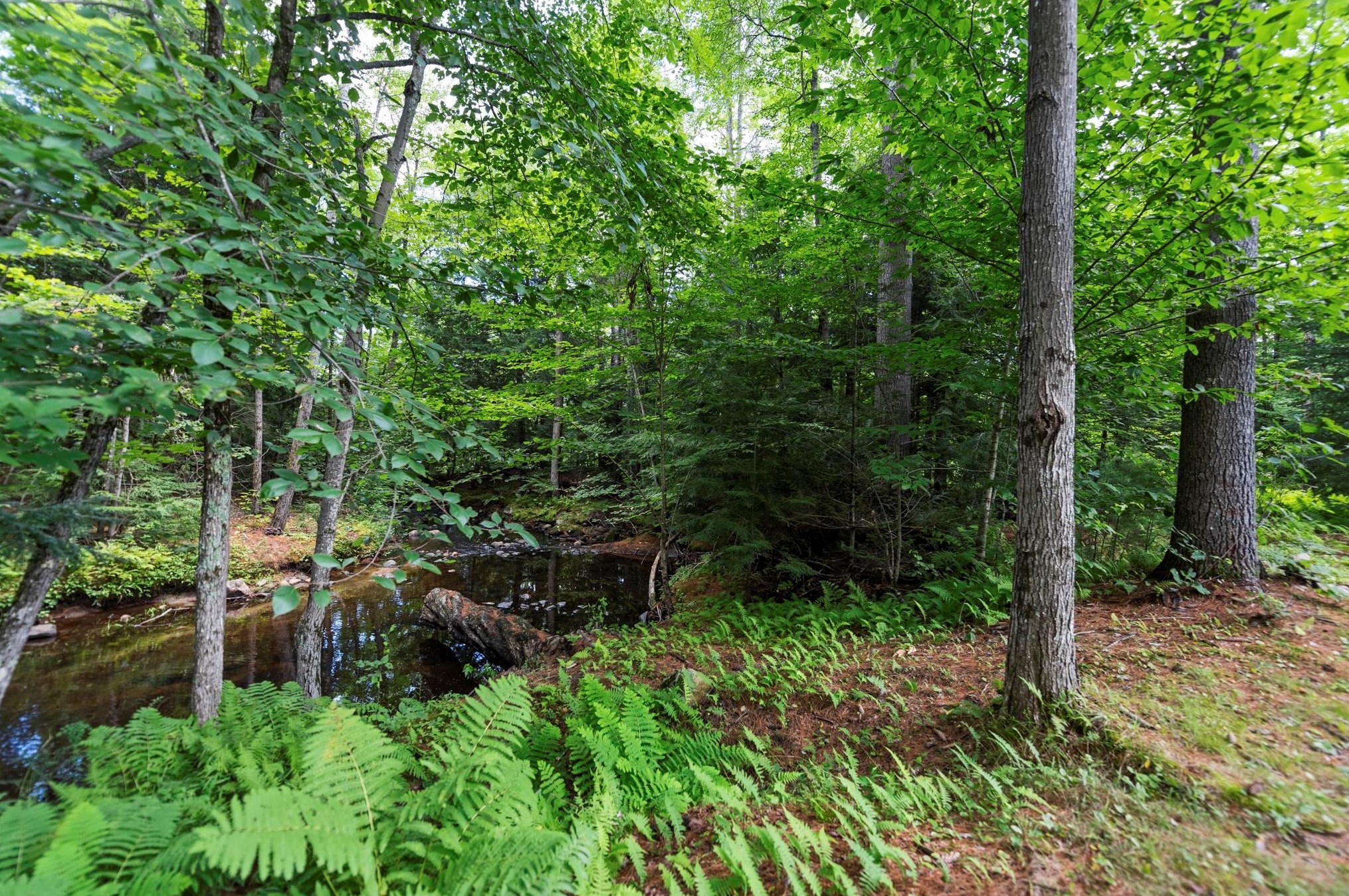 15 Forbes Mountain Rd, Danbury, NH 03230