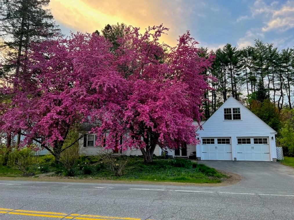 88 Greensboro Rd, Hanover, NH 03755-3101