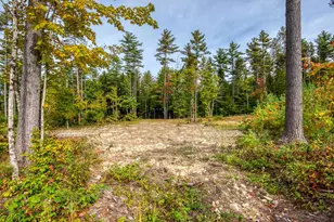 5 Lucy Brook Rd, Conway, NH 03860 - Photo 44