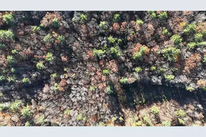 00 Whitney Road #132, Henniker, NH 03242 - Photo 8