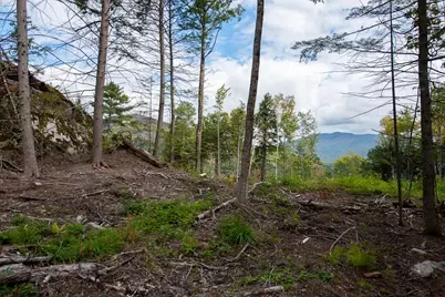 12-12-10-8 Jacob Hall Farm Road #8, Rumney, NH 03266 - Photo 10