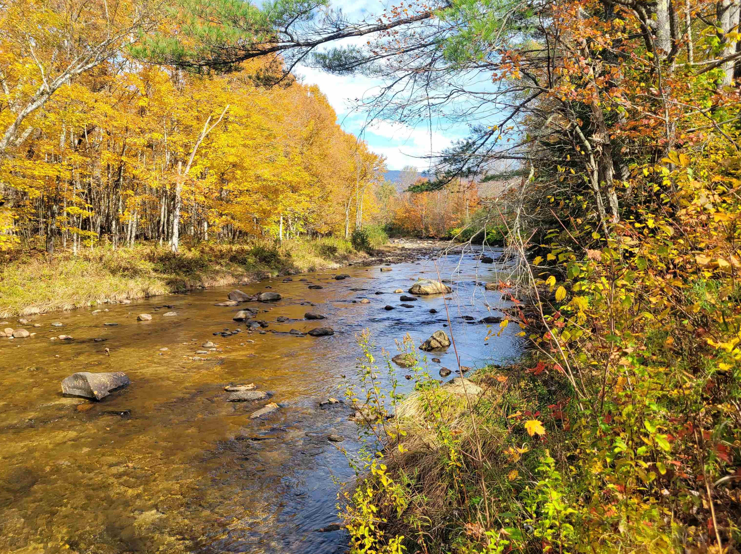 225 Israels River Rd, Northumberland, NH 03583