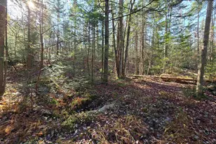 Lot 3 Chipper Ln, Milan, NH 03588 - Photo 1
