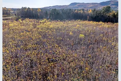 Lot 4 McIntyre Road, Dalton, NH 03598 - Photo 4