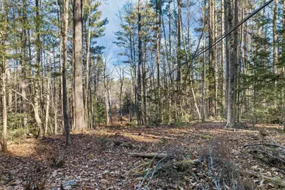 Camp Road #14, Wolfeboro, NH 03894 - Photo 16