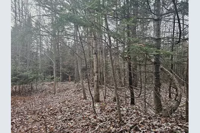 461 Hill Road #Map R14, Lot 4  ( land only), Dummer, NH 03588 - Photo 1