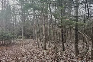 461 Hill Rd, Dummer, NH 03588 - Photo 1