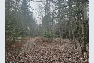 461 Hill Road #Map R14, Lot 4  ( land only), Dummer, NH 03588 - Photo 2