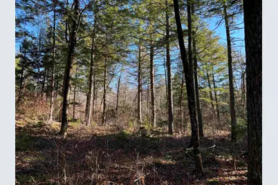 481 Chocorua Mountain Highway, Tamworth, NH 03886 - Photo 4