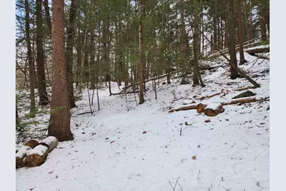 000 South Village Road #R13-13, Westmoreland, NH 03467 - Photo 12