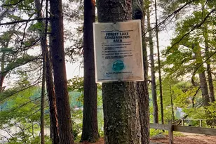 45 Forest Lake Cir, Winchester, NH 03470 - Photo 18