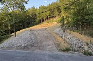 463 Craney Hill Rd, Henniker, NH 03242 - Photo 1