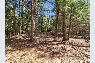 1 West Main Street #233-1, Hillsboro, NH 03244 - Photo 46