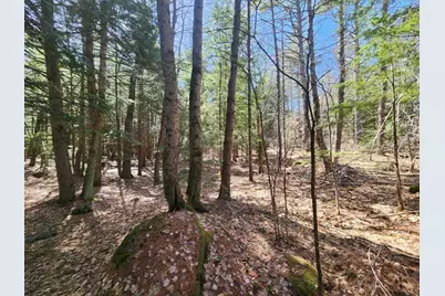 1 West Main Street #233-1, Hillsboro, NH 03244 - Photo 50