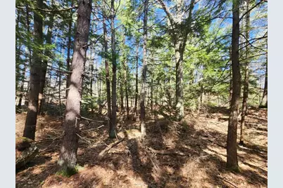 1 West Main Street #233-1, Hillsboro, NH 03244 - Photo 44