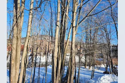 30 Beech Street #4C, Bristol, NH 03222 - Photo 4