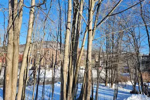 30 Beech St, Bristol, NH 03222 - Photo 4