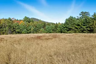 115 Adams Farm Rd, Thornton, NH 03285 - Photo 4